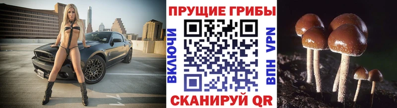 Галлюциногенные грибы ЛСД  Купить где  Монино 